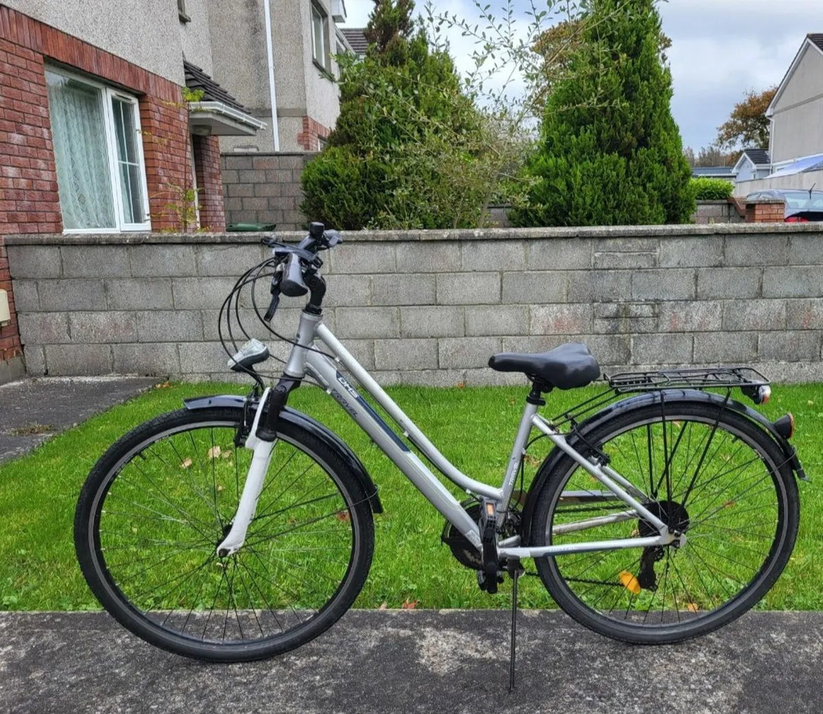 Adult Bike - Image 1