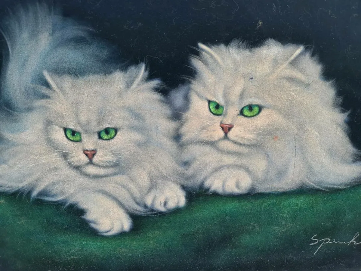 Persian cats oil painting g - Image 3