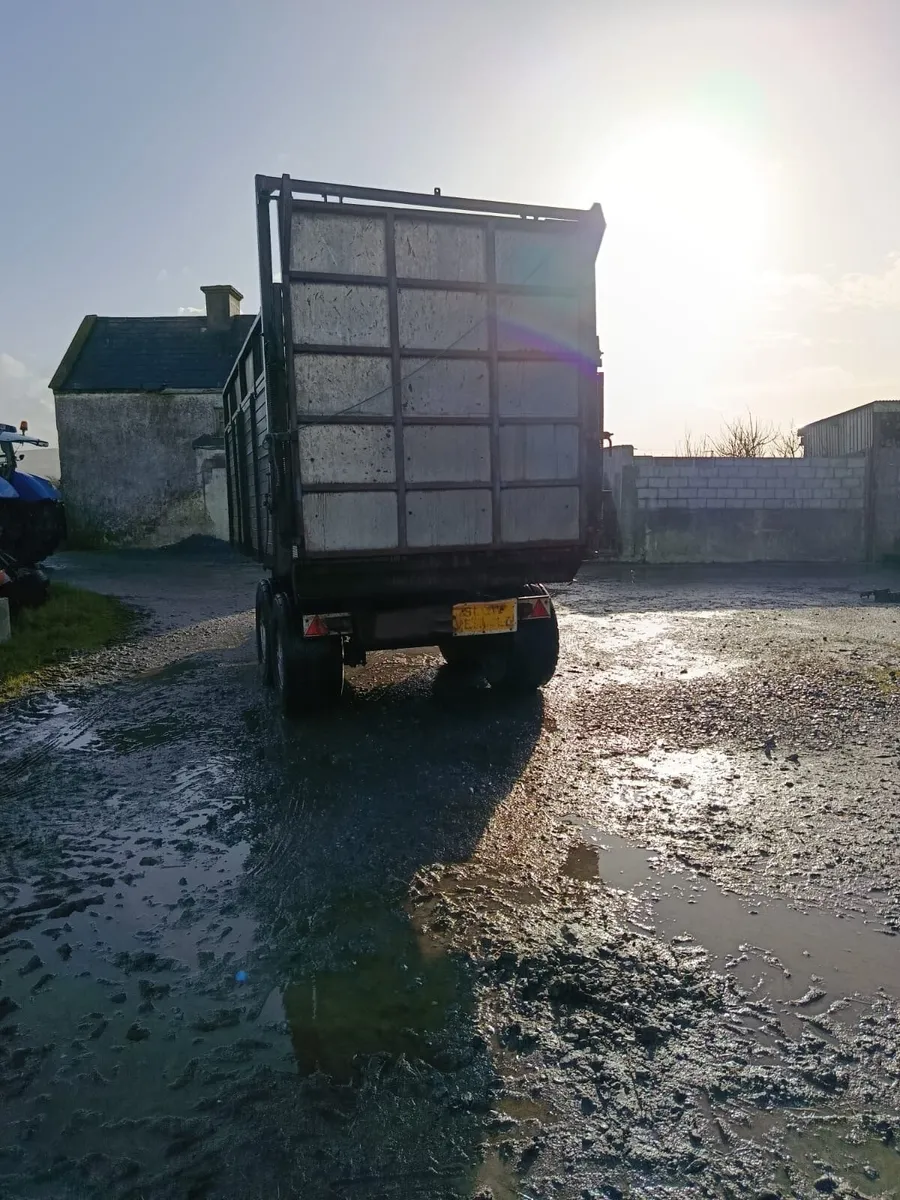 Cattle Trailer - Image 1