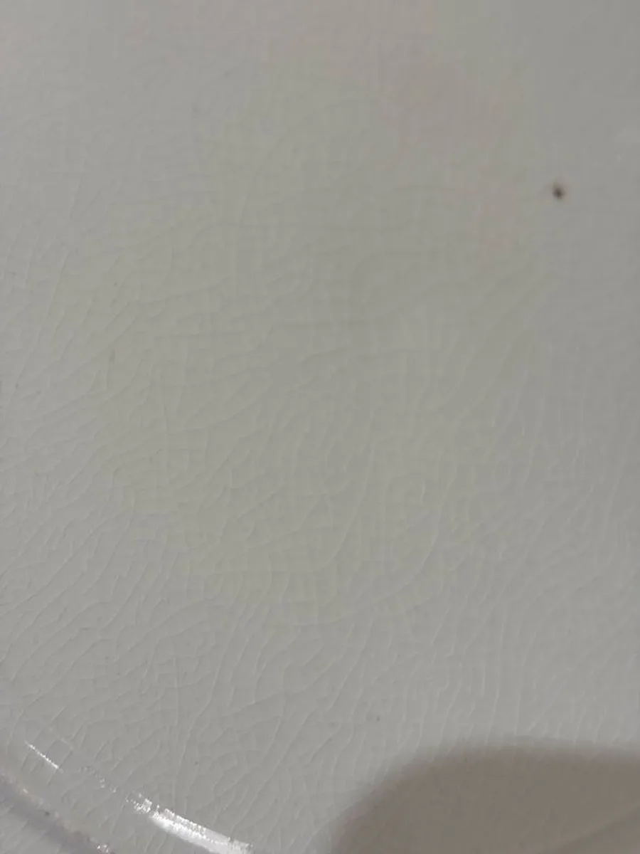 Pair of Burleigh Imari Plates, 27cm, Burslem, England one marked, one unmarked, c. early mid 20th century. - Image 4