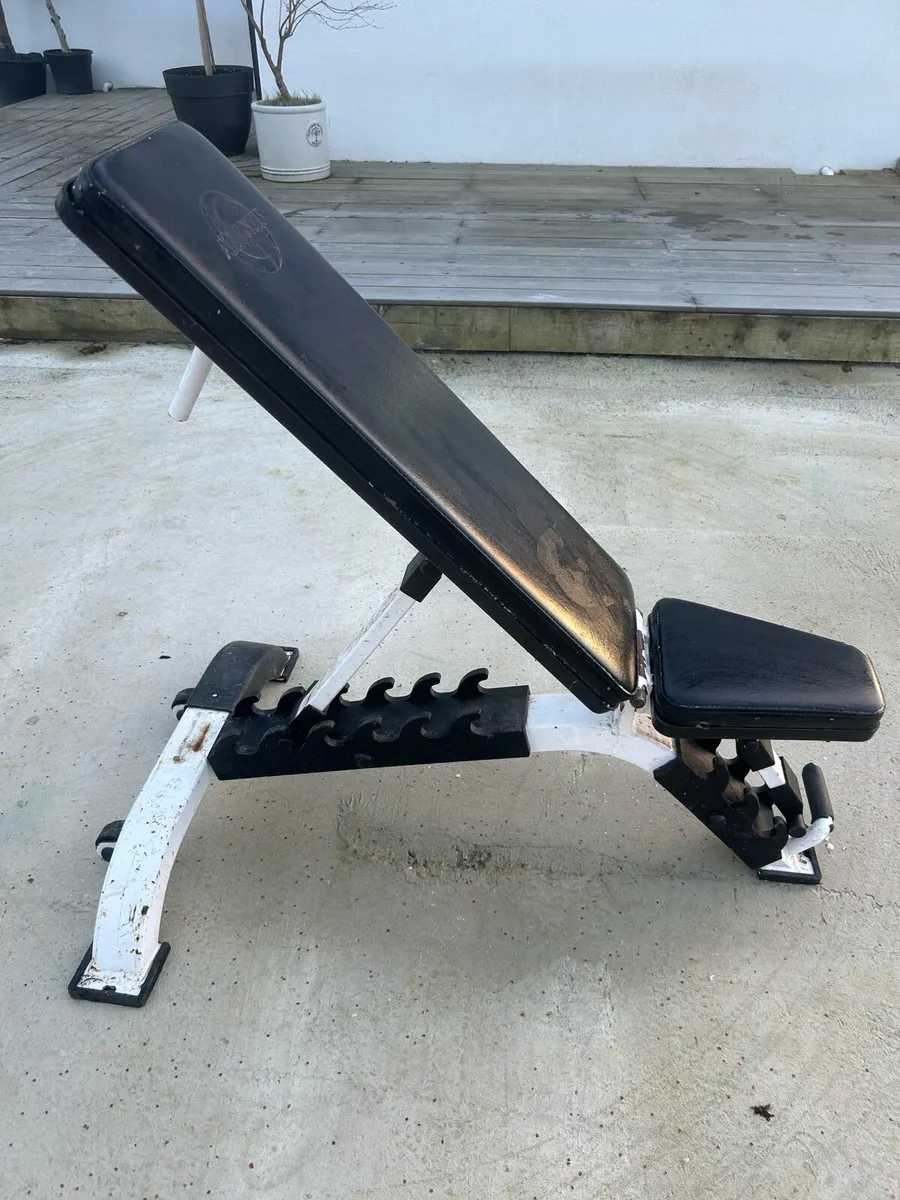 Atlantis gym bench - Image 1