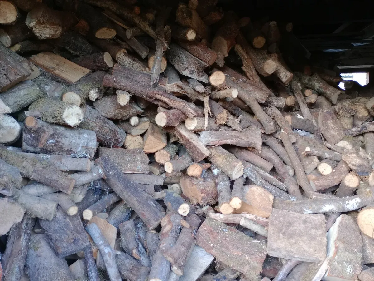 Seasoned firewood tonne bag – Sticks - Hardwood - Image 2