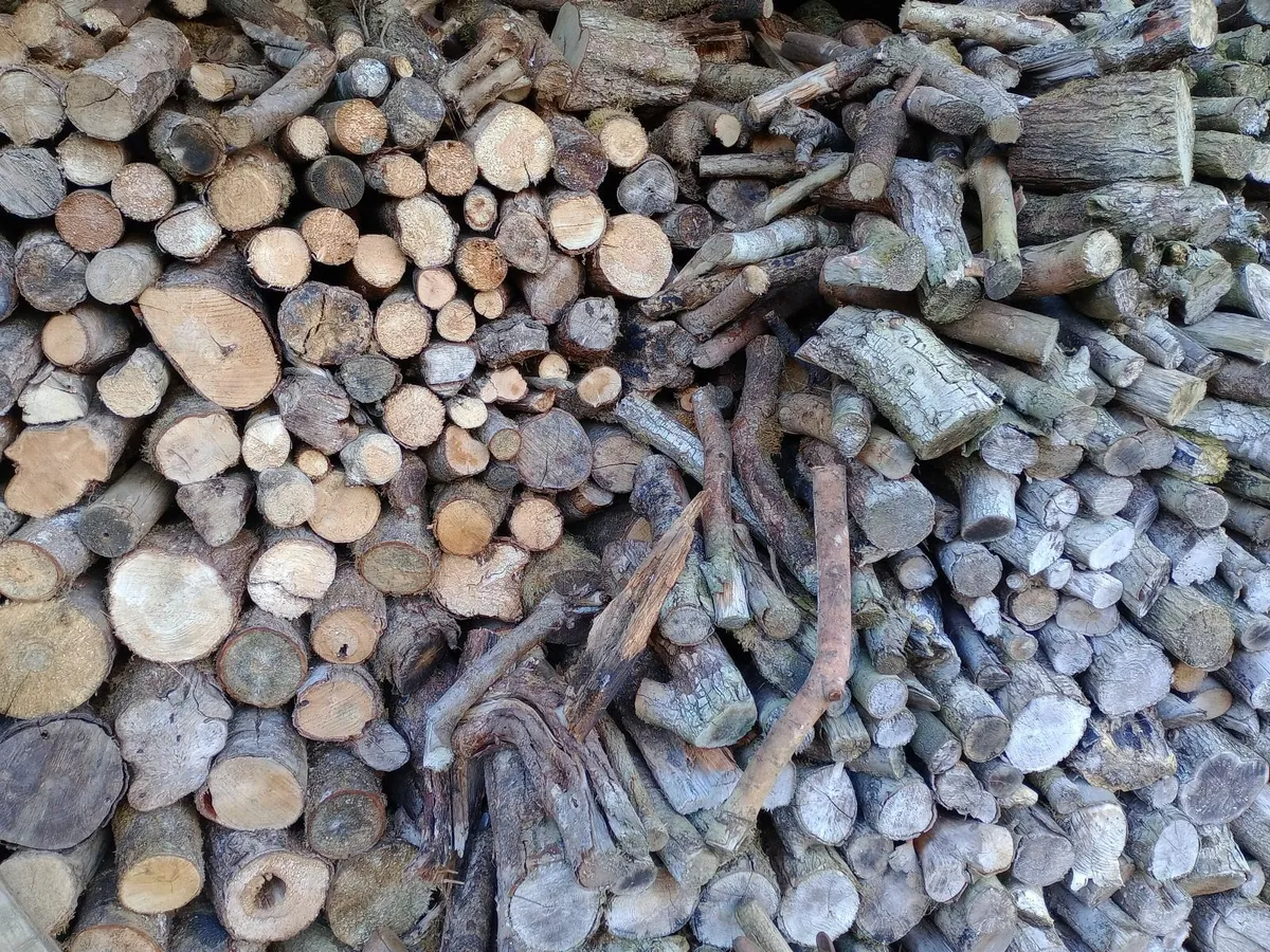 Seasoned firewood tonne bag – Sticks - Hardwood - Image 3