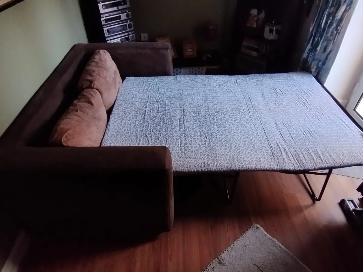 Free Pull Out Sofa - Image 2