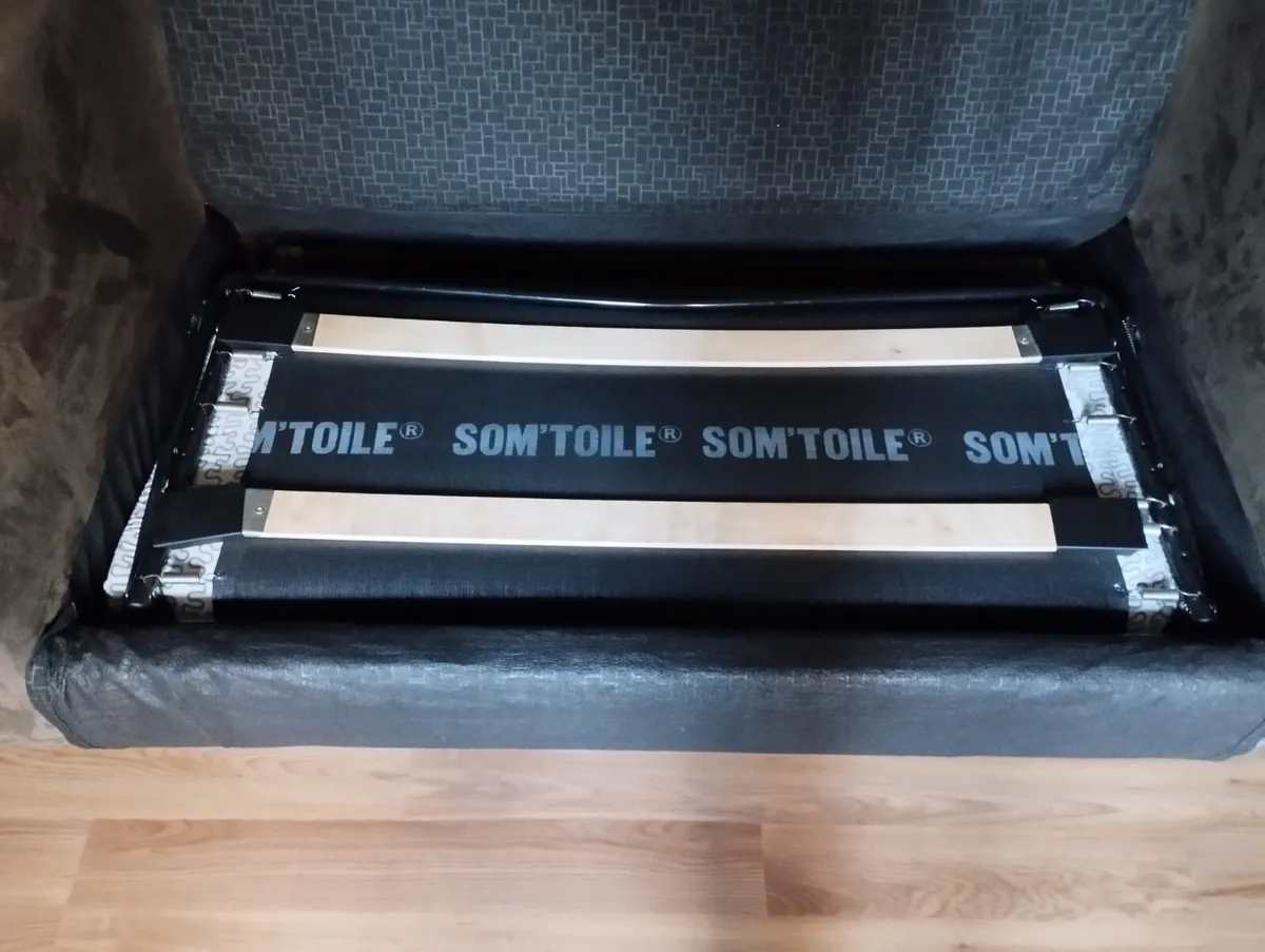 Free Pull Out Sofa - Image 4