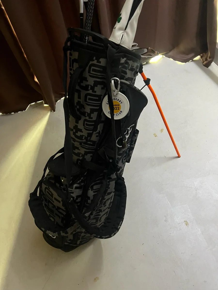 Taylormade Audi golf bag - Image 4