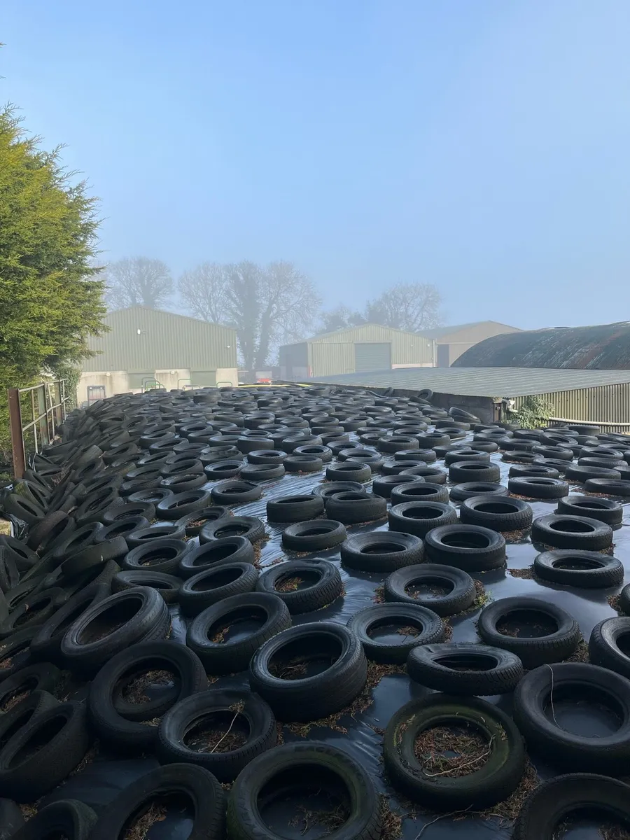 Pit and round bale silage plus barley straw - Image 2