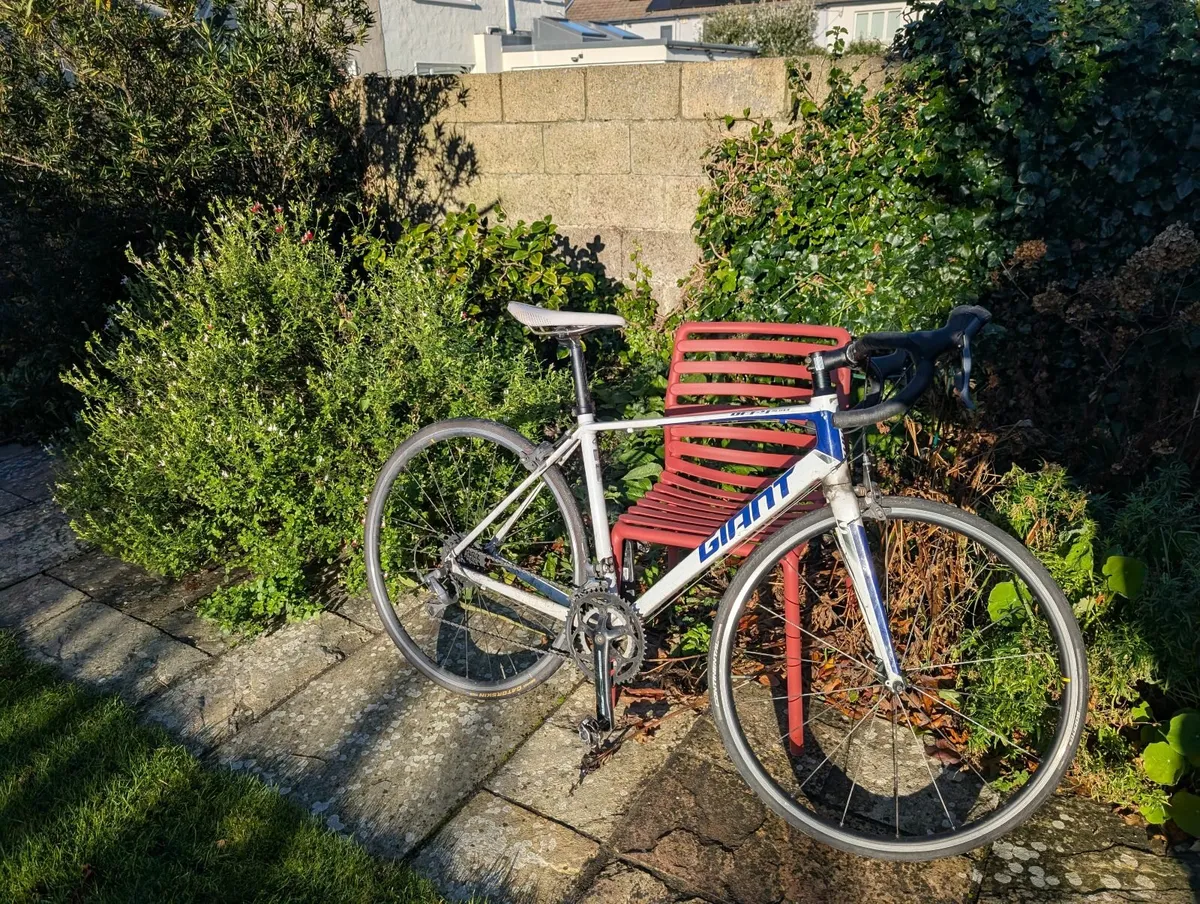 Giant racing Bike - Image 1