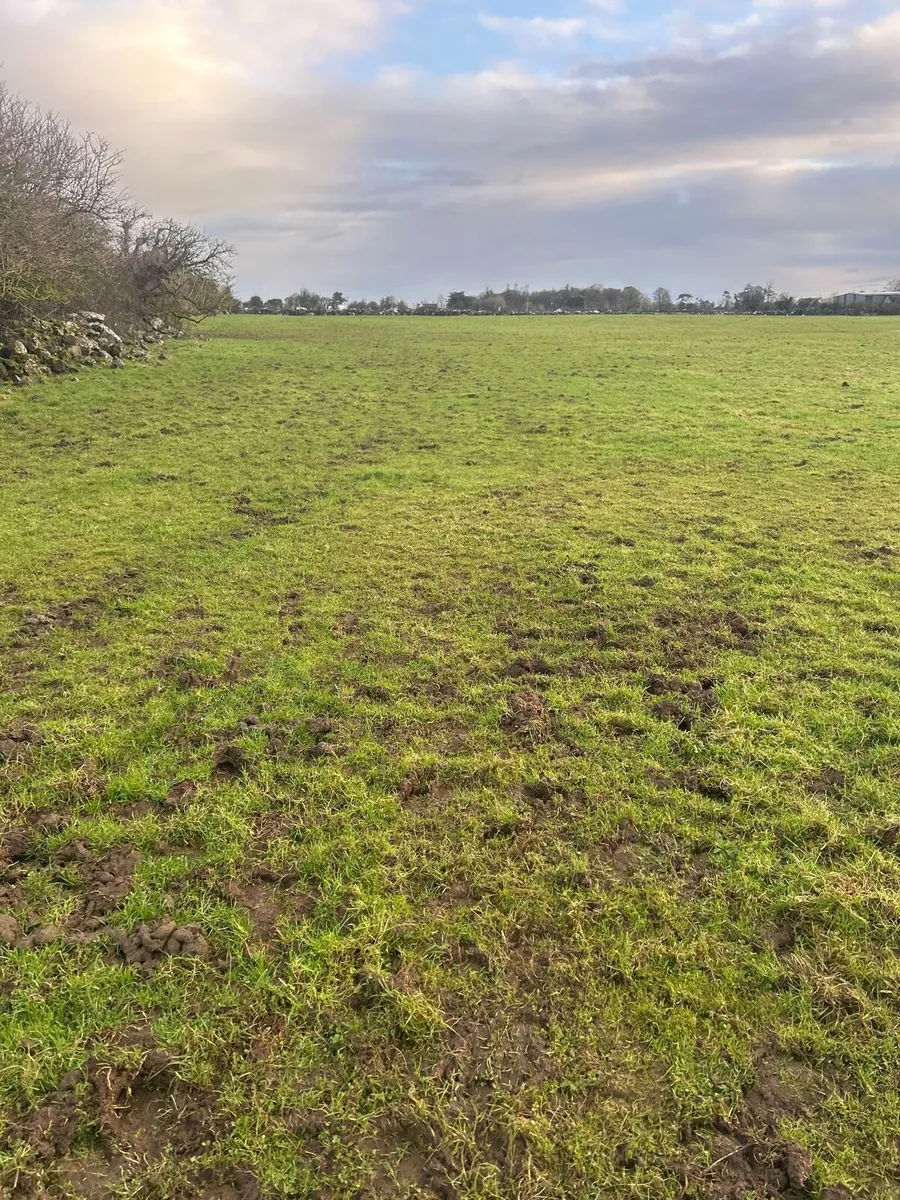 Winterage / grazing wanted