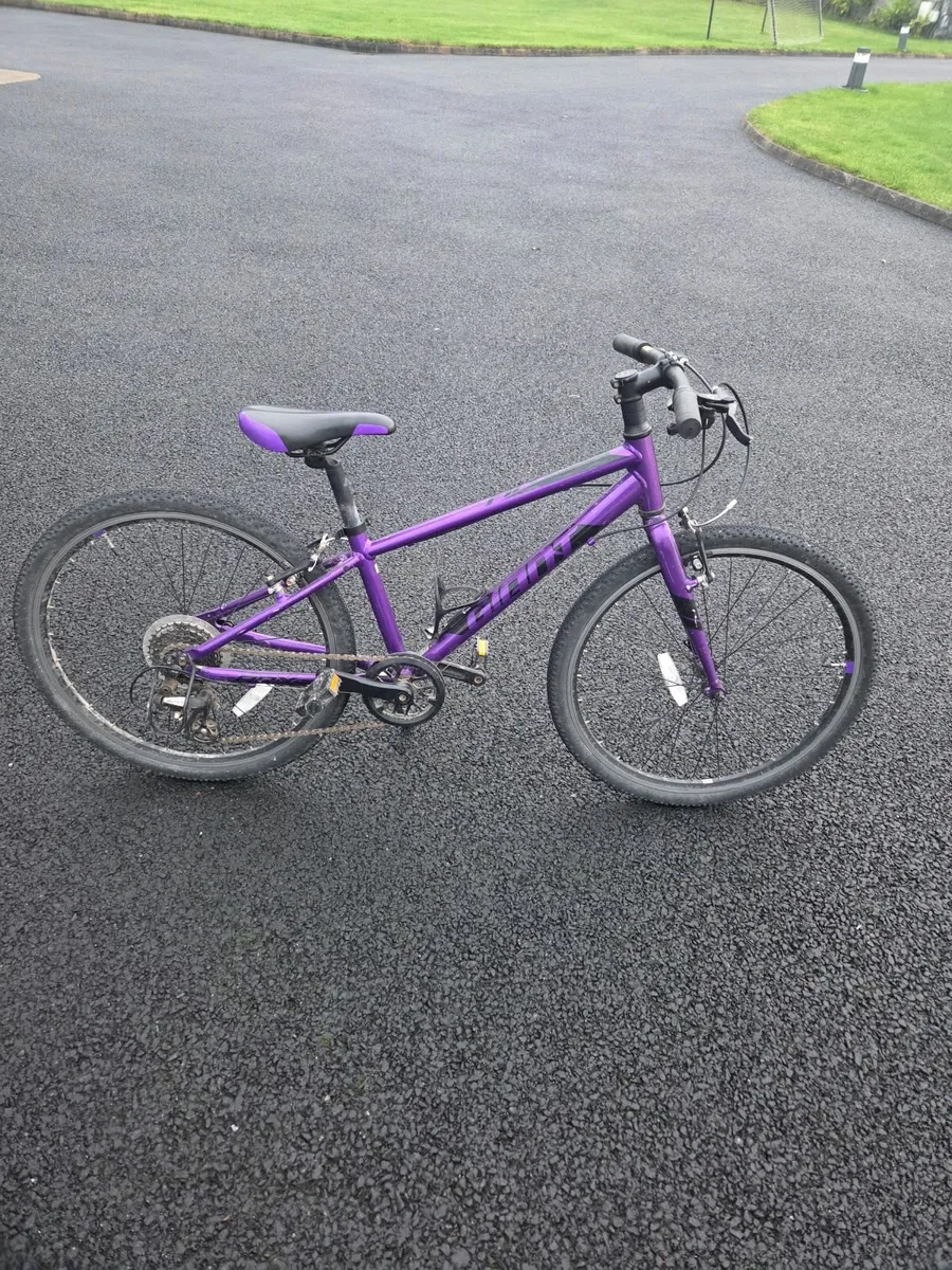 Giant Arx 24 Bike - Image 1