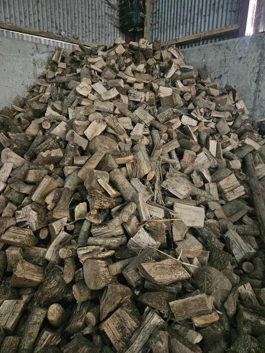 Firewood - Image 1