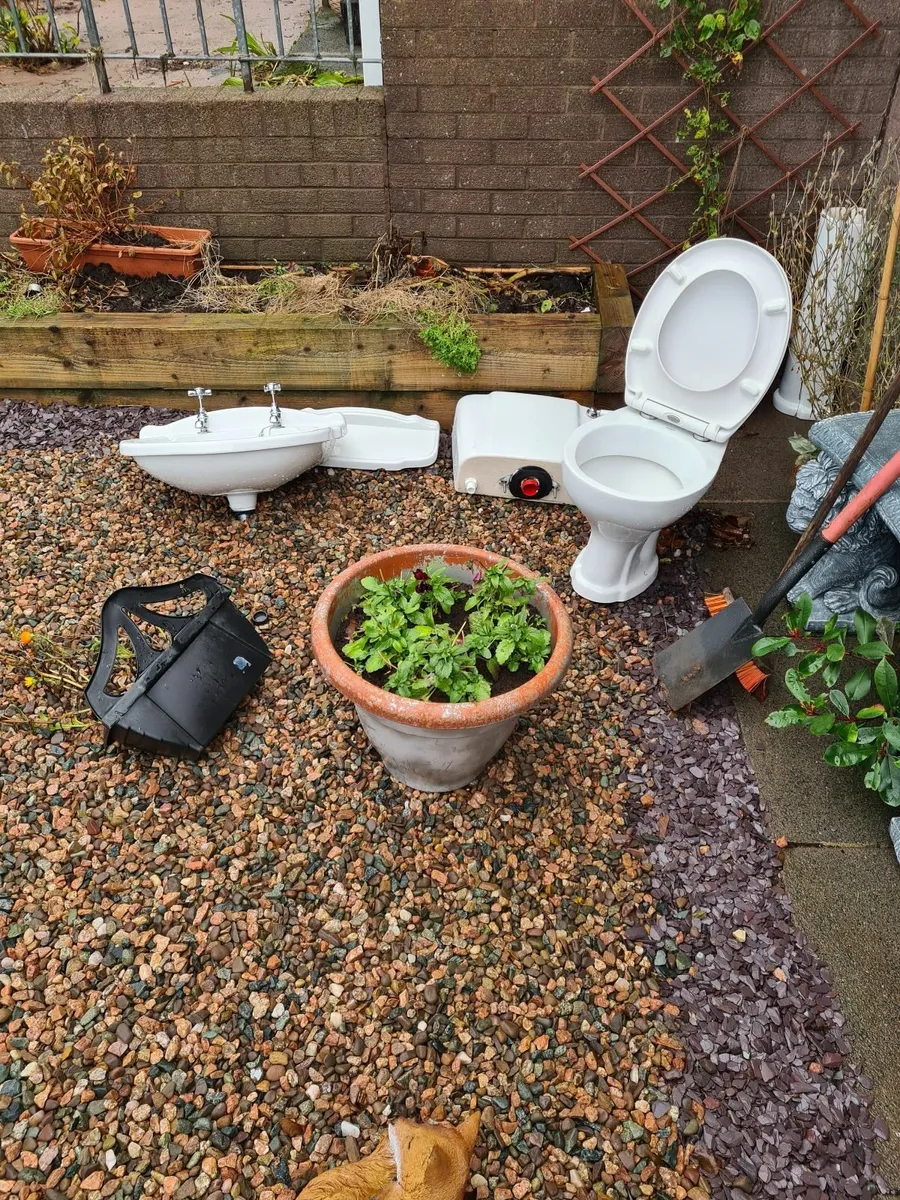 Shires, Toilet, Sink, Taps and Pedestal. - Image 1