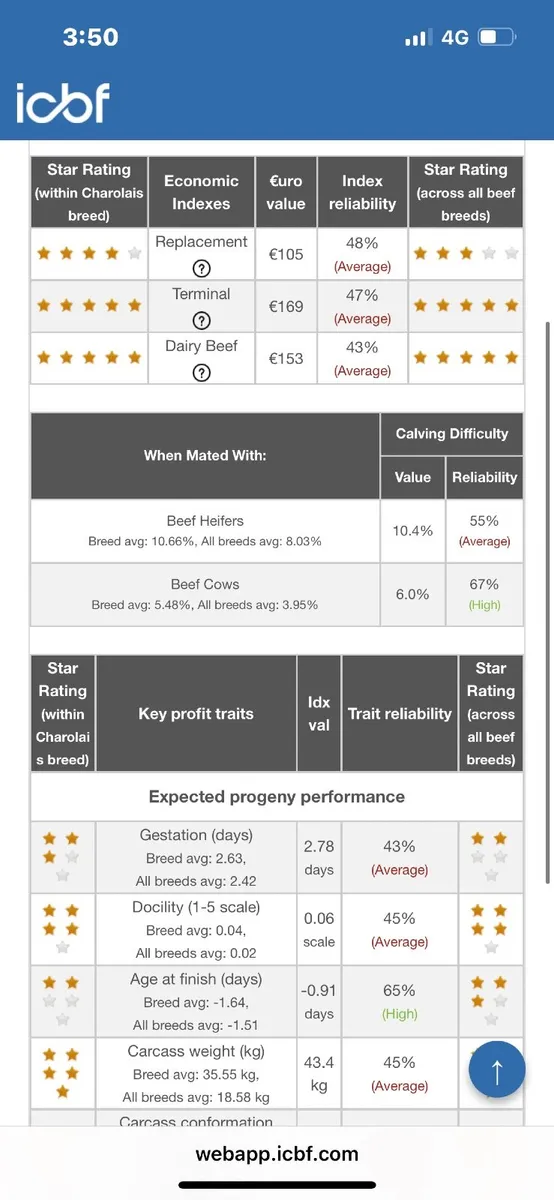 ⭐️5 Star Pedigree Charolais Bull⭐️ - Image 4