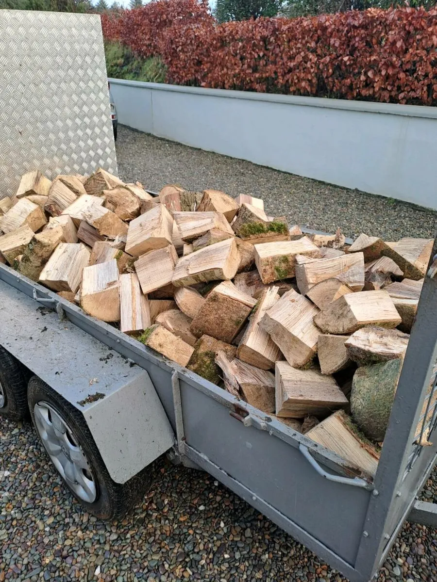 Ash firewood - Image 1