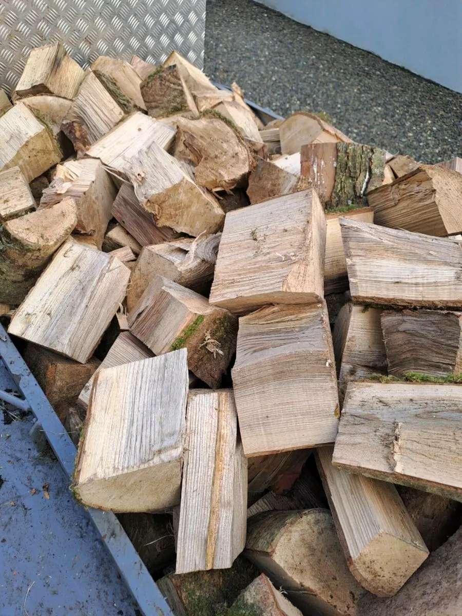 Ash firewood - Image 2