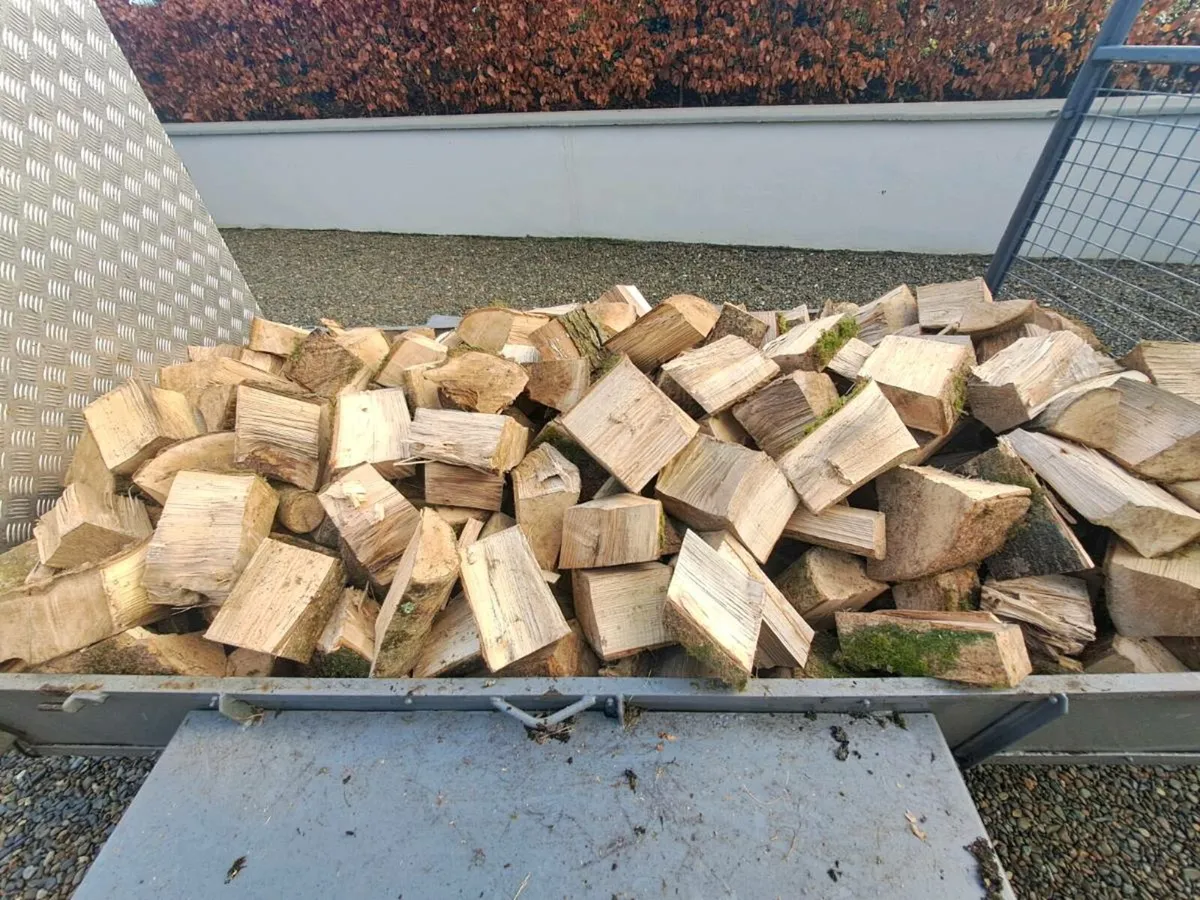 Ash firewood - Image 3