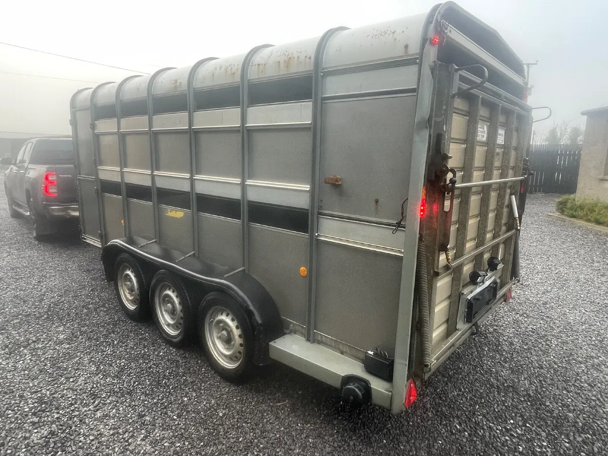Ifor Williams 14ft Tri axle Cattle/sheep trailer - Image 3