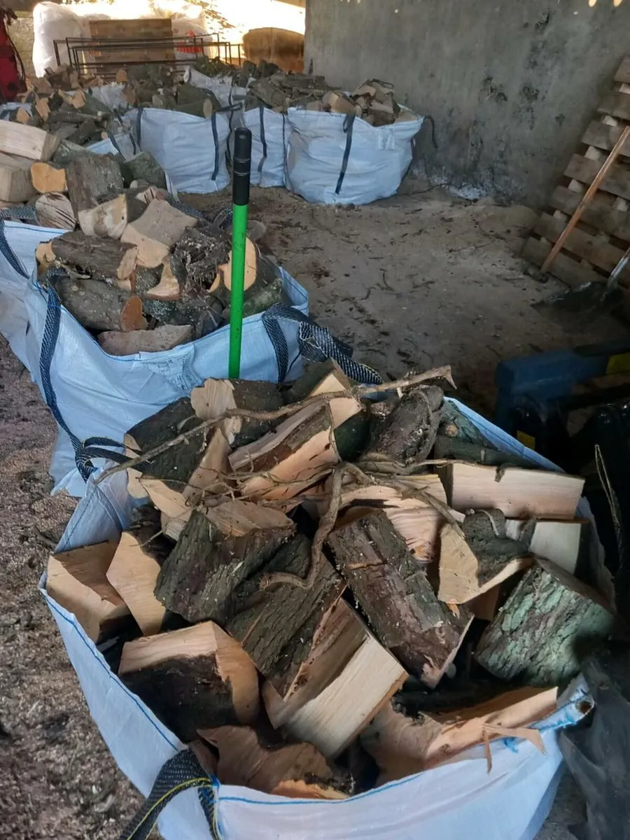 Firewood Sticks - Image 3