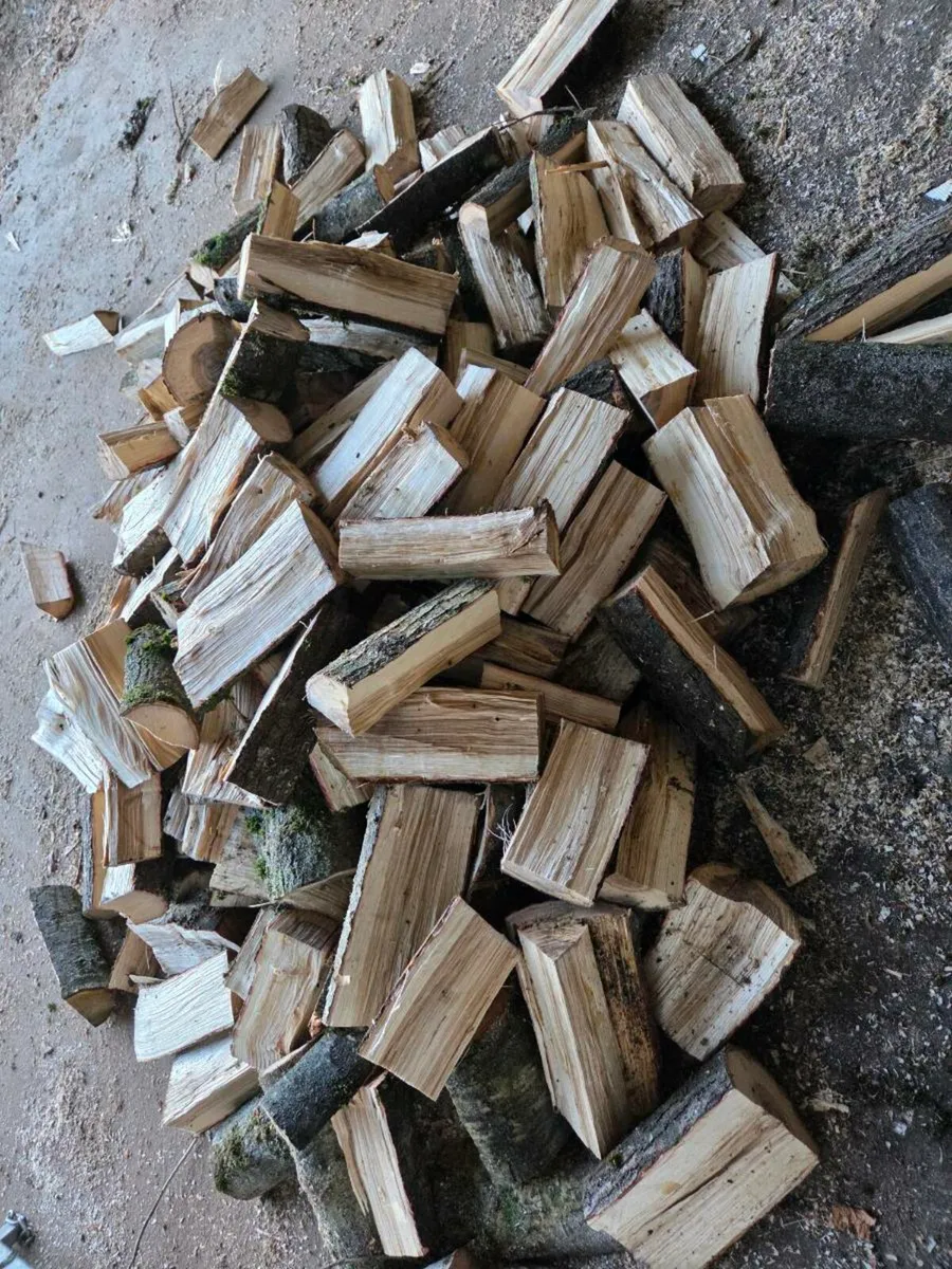 Oak Firewood Stove Cut - Image 2
