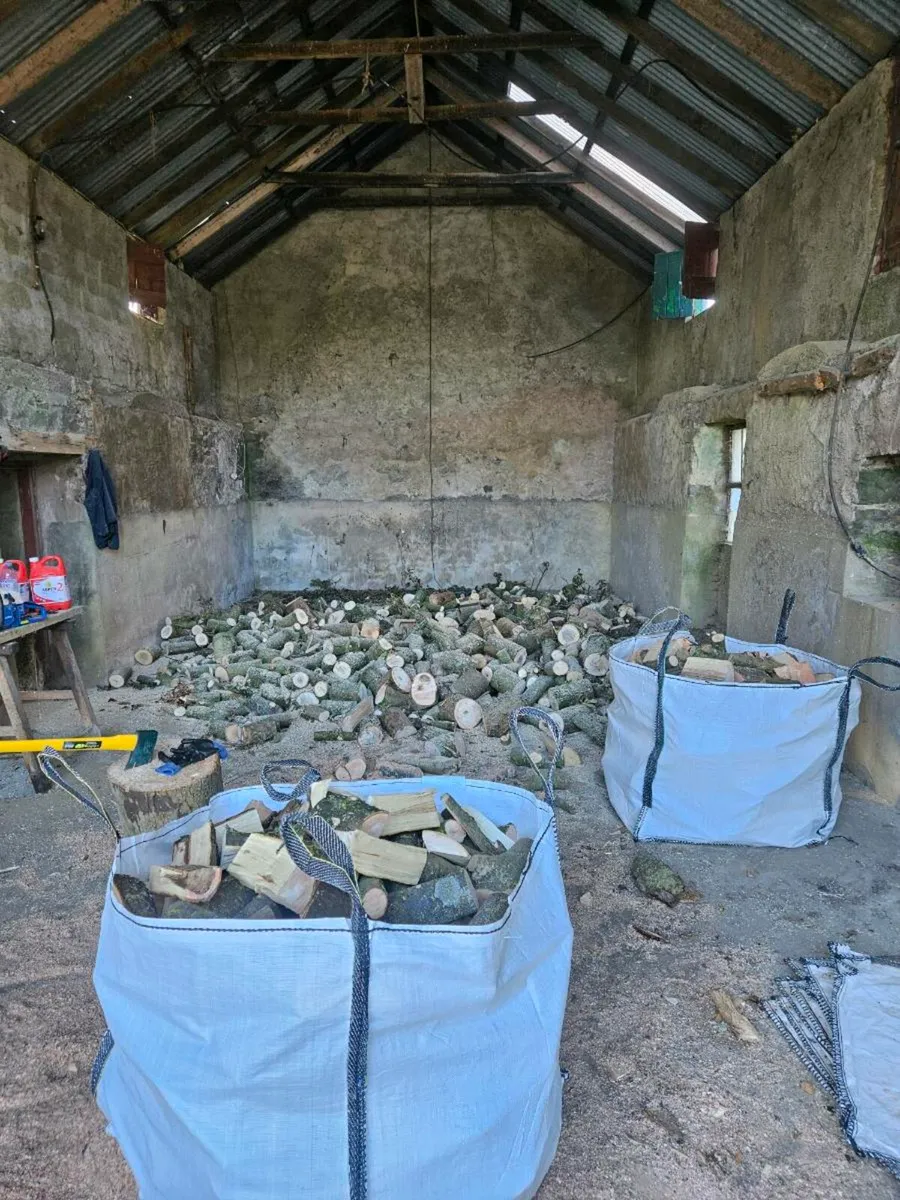 Oak Firewood Stove Cut - Image 1