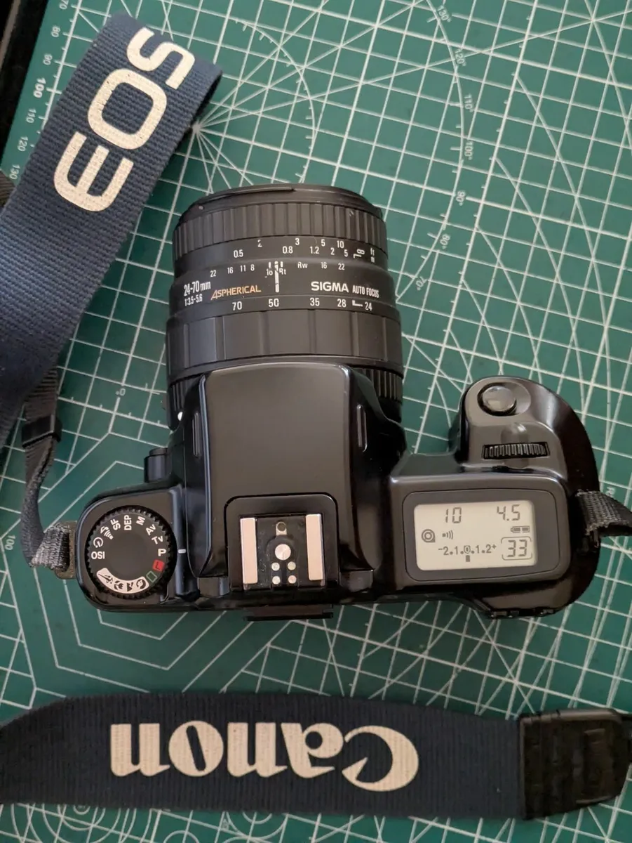 🎞️ Canon EOS 1000F N + Sigma 24-70mm/3.5-5.6 - Image 4