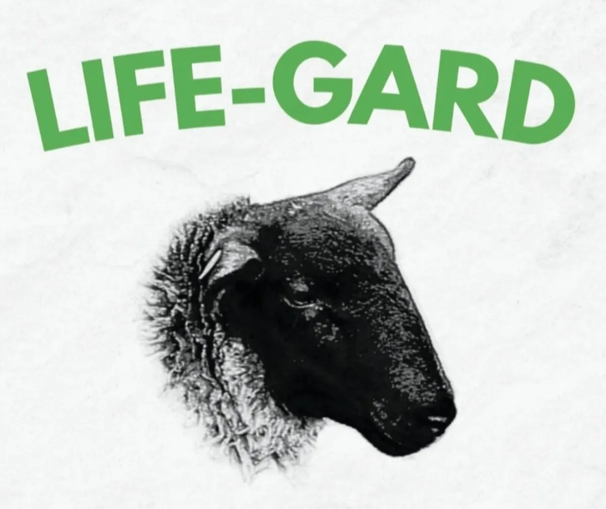 Life-Gard Colostrum Paste - Image 1