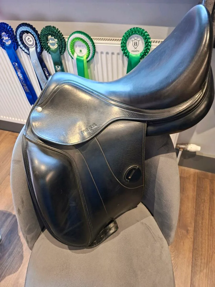 Amerigo Vega dressage saddle - Image 1
