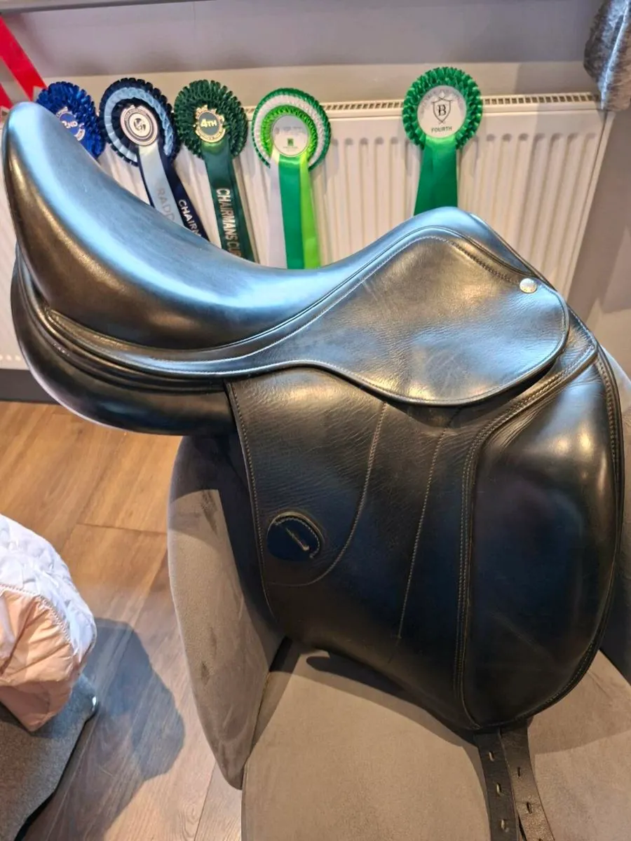 Amerigo Vega dressage saddle - Image 2