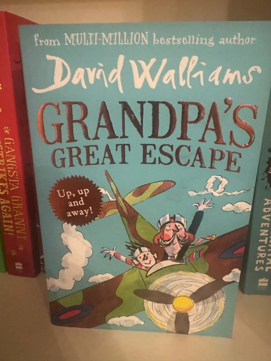 Books: Artemis Fowl & David Walliams - Image 3