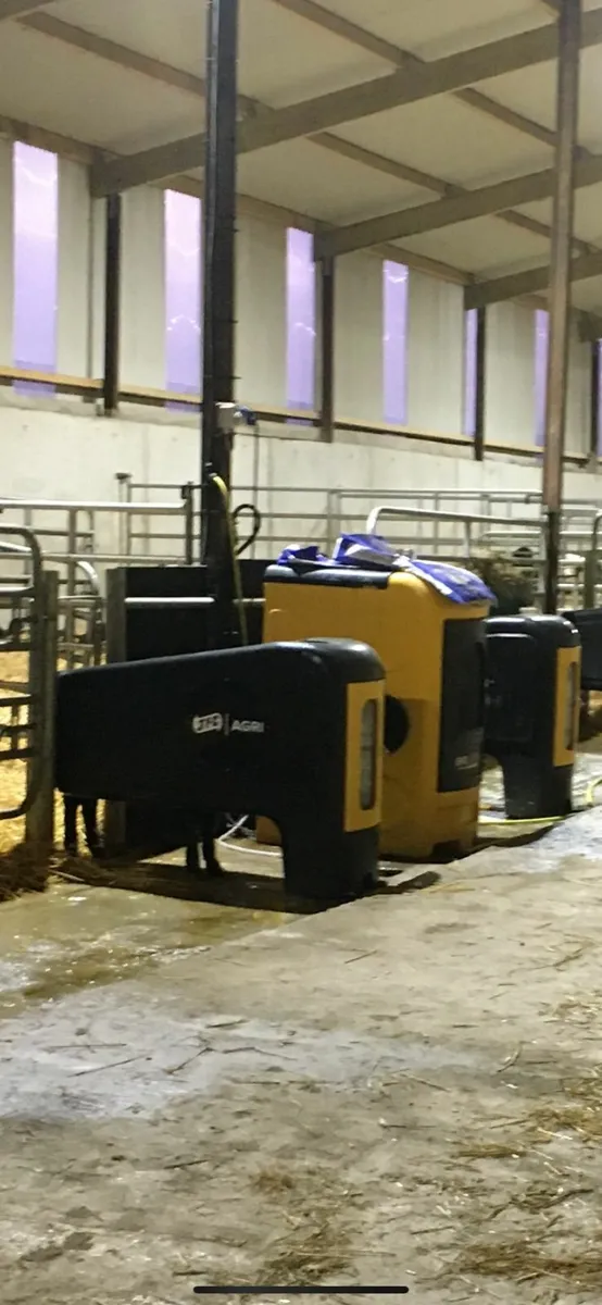JFC automatic calf feeder - Image 4