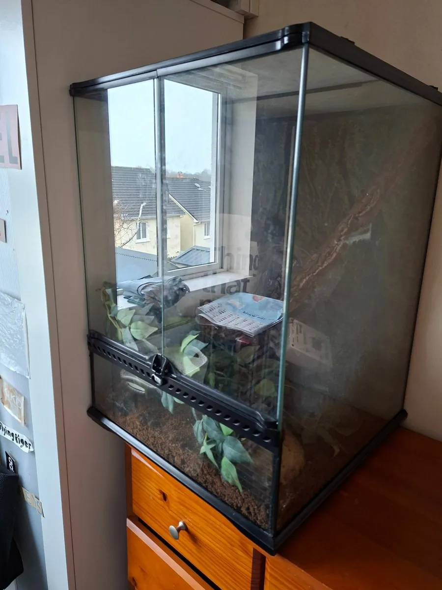 Reptile tant with lights - Image 1