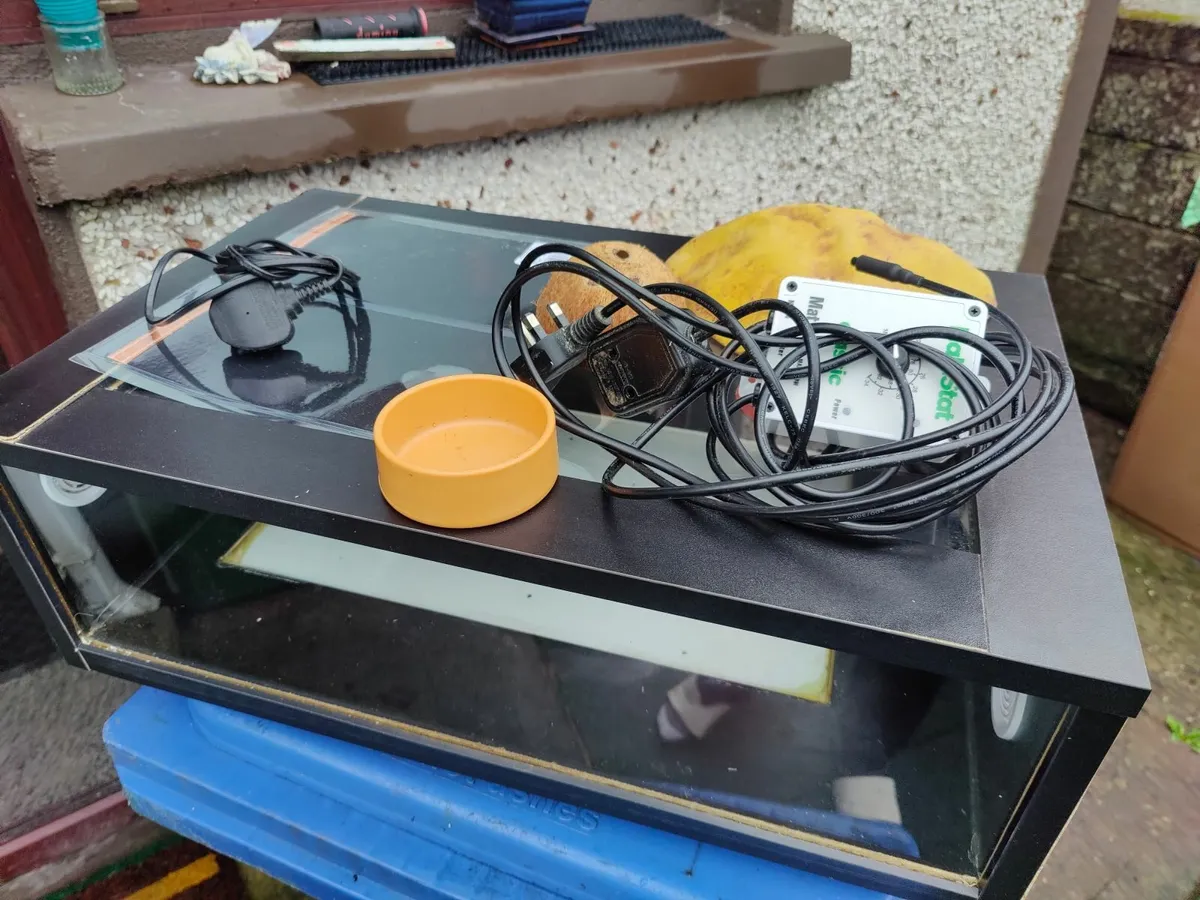 Reptile Enclosure - Image 2