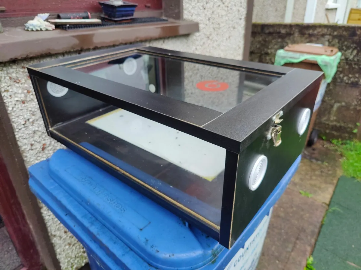 Reptile Enclosure - Image 4