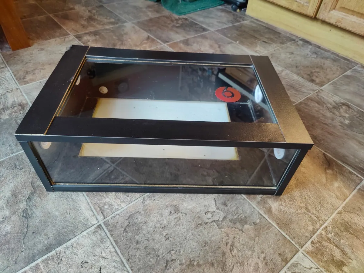 Reptile Enclosure - Image 1