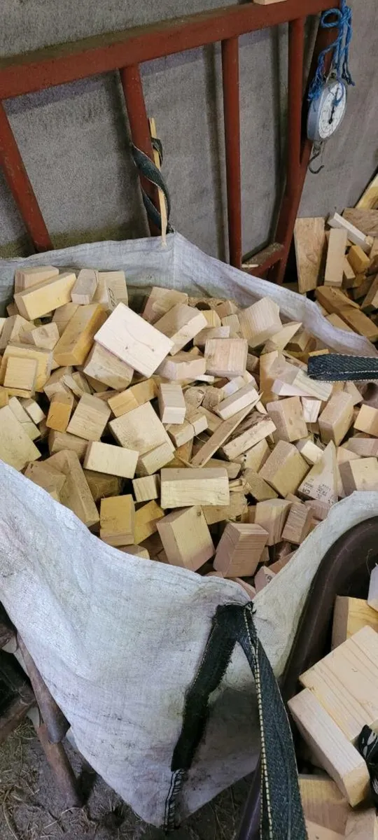 Dry Fire Wood - Image 1