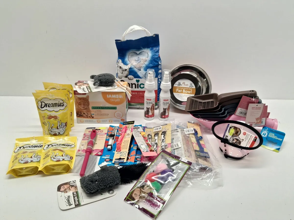 Christmas Pet Accessories Auction - Image 1