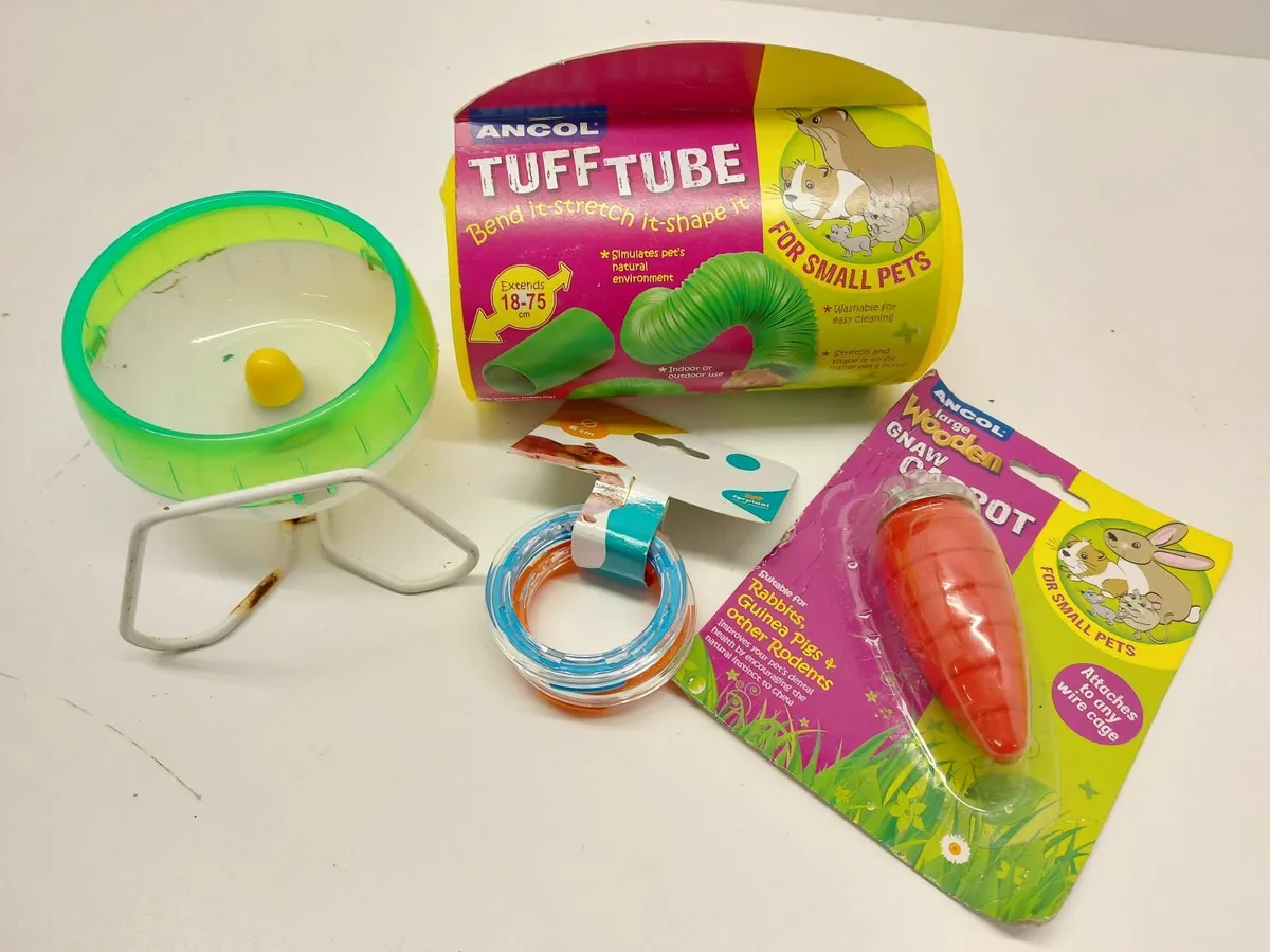 Christmas Pet Accessories Auction - Image 2