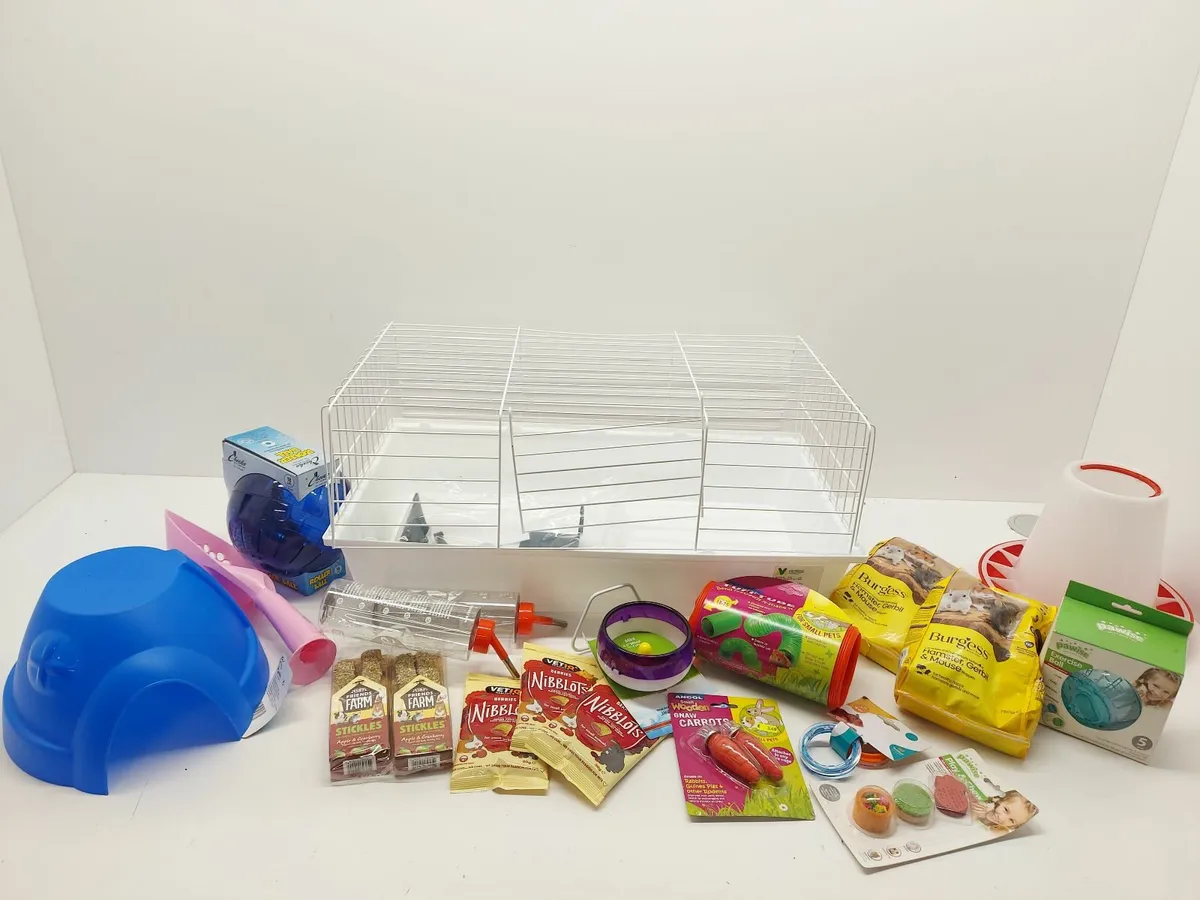 Christmas Pet Accessories Auction - Image 4