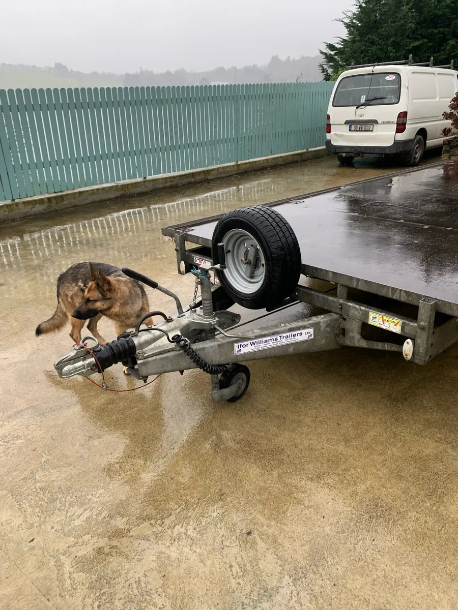 Ifor Williams trailer - Image 1