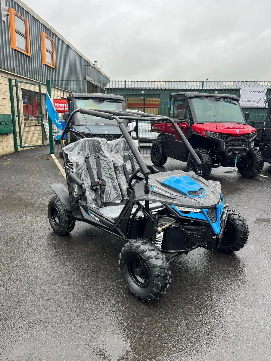 Quadzilla Stingray 210(OUT OF STOCK) - Image 1