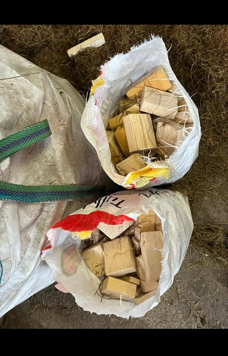 Dry Fire Wood - Image 2