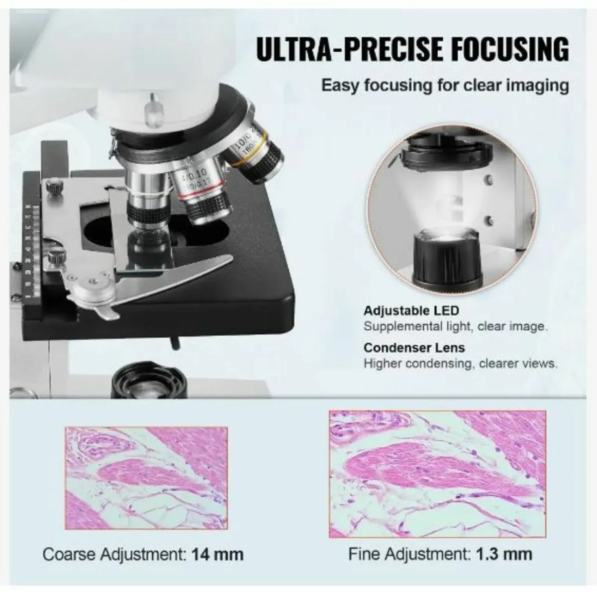 Binocular Compound Microscope, 40X-2500X - Image 4