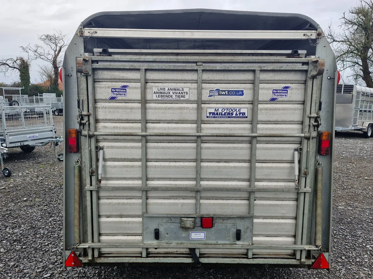 IFOR WILLIAMS   14' x 5'10"  TRAILER WITH DECKS - Image 4