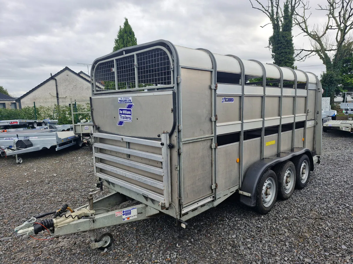 IFOR WILLIAMS   14' x 5'10"  TRAILER WITH DECKS - Image 2