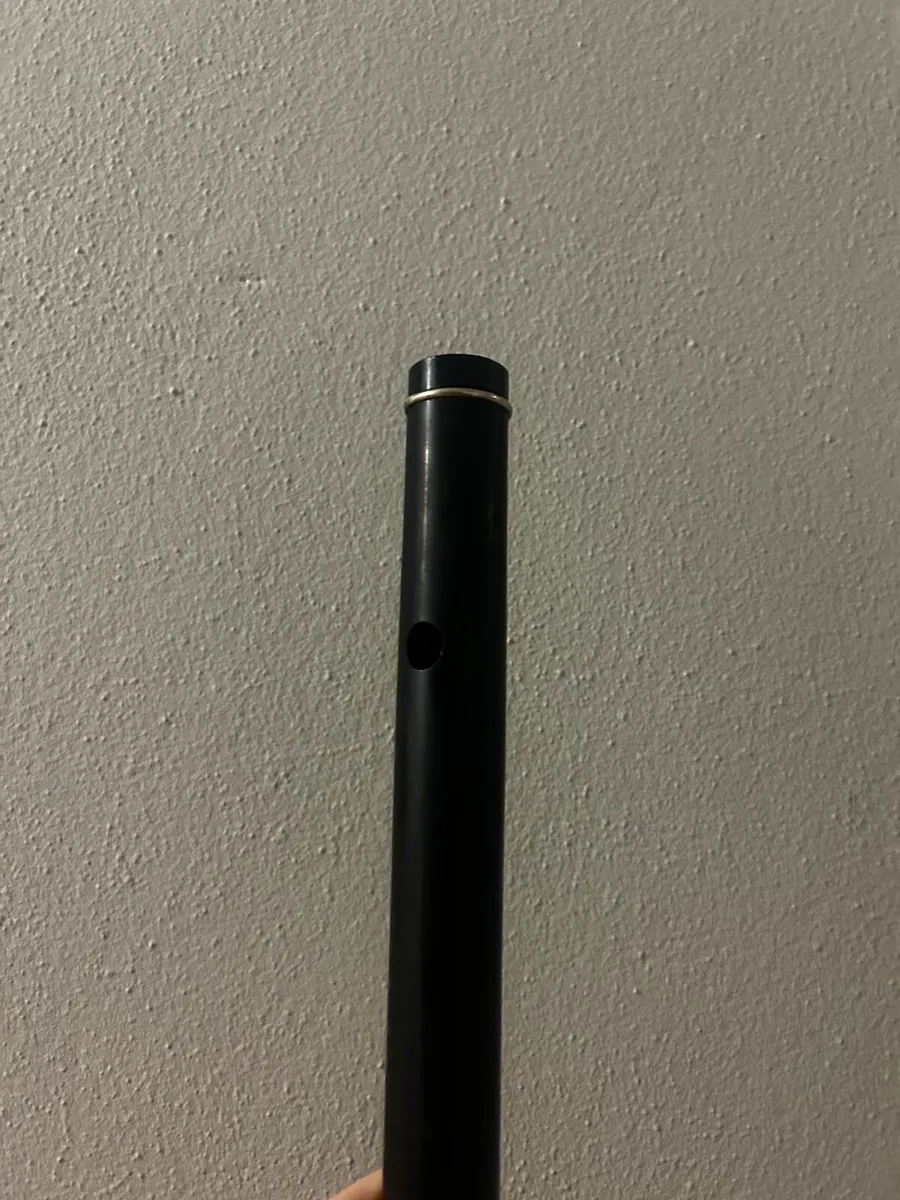 Beginner flute - Image 2