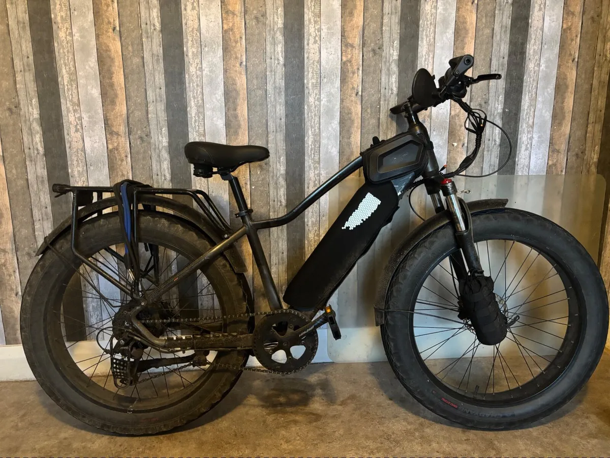 Fat tire electric bicycle 2 batteries - Image 1