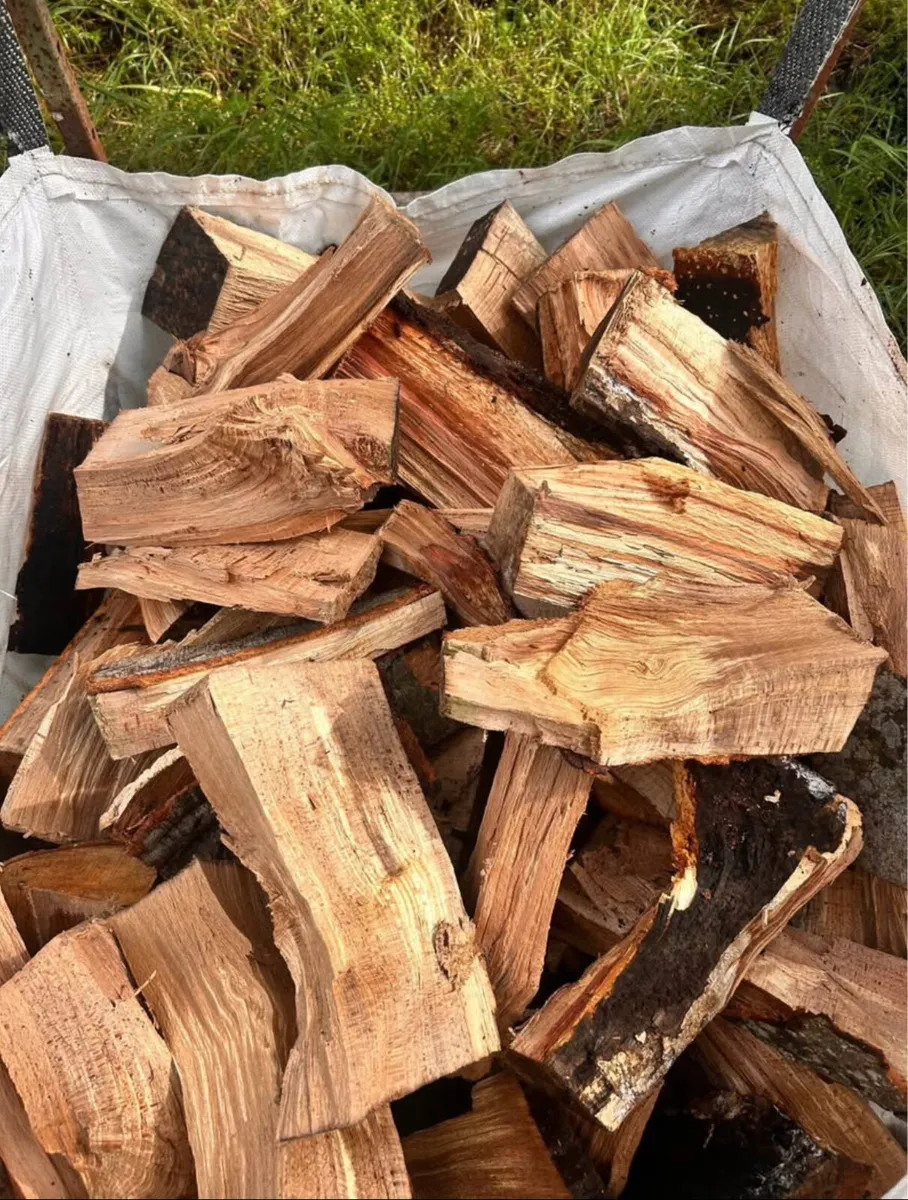Firewood beech hardwood