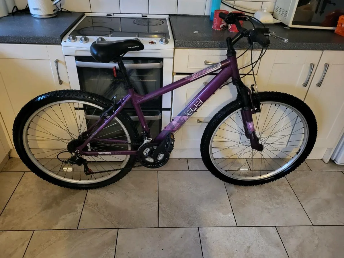 Cheap bike - Image 1