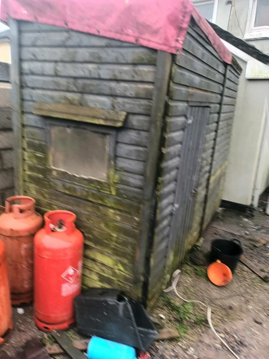 Free Shed - Image 2
