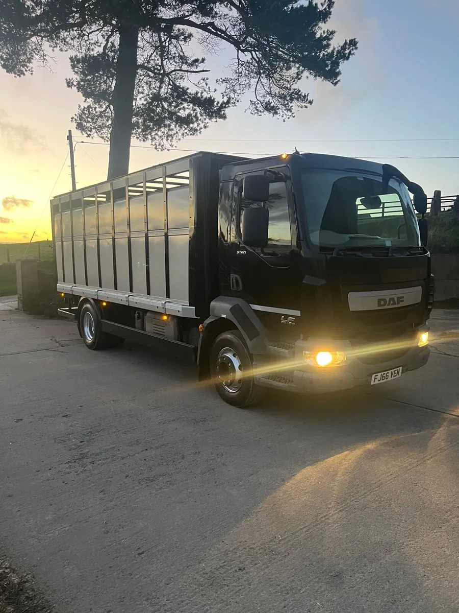 Daf LF 230 15 ton cattle lorry - Image 1
